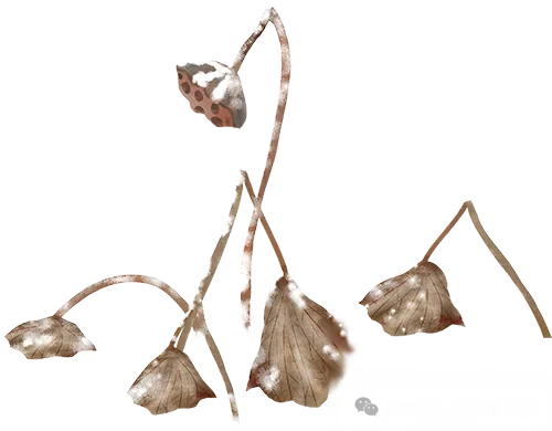 2026中考数学第一次模拟考试(成都卷)附答案 高清电子版可打印 第22张