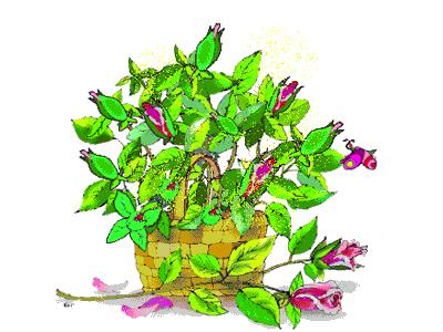 化学篇:中考化学计算题专题 第1张