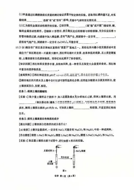 2026年廊坊市广阳区中考一模化学试卷 第5张