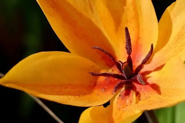 中考《经典常谈》全考点复盘|高频易错+答题技巧,一篇搞定备考 第2张