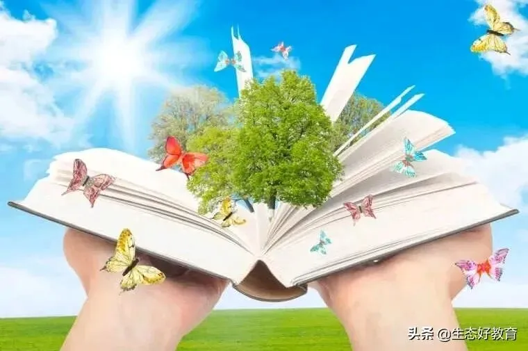 思考|单元写作与中考作文,如何“双向奔赴”?——一个语文老教师的备考思考 第1张