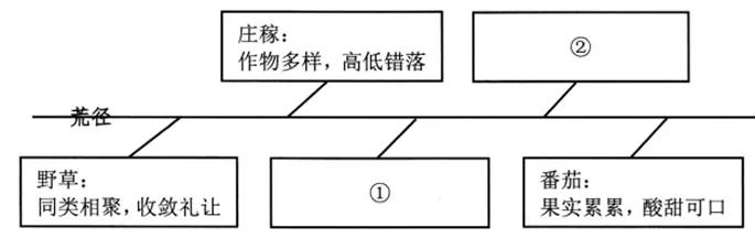 中考复习——反复修辞手法 专题练习2025 第3张