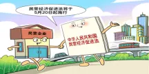 2026年中考《道德与法治》二轮复习专题04八年级下册【解析版】 第9张