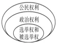 2026年中考《道德与法治》二轮复习专题04八年级下册【解析版】 第13张