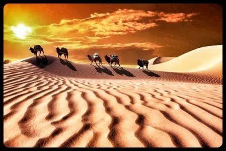 2026年中考历史二轮热点专题试卷8:西安事变爆发90周年 第3张