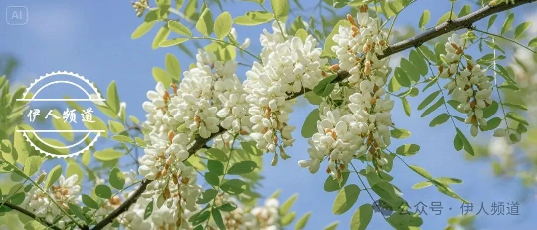 2026中考语文模拟试卷及参考答案(5)【可打印】 第2张