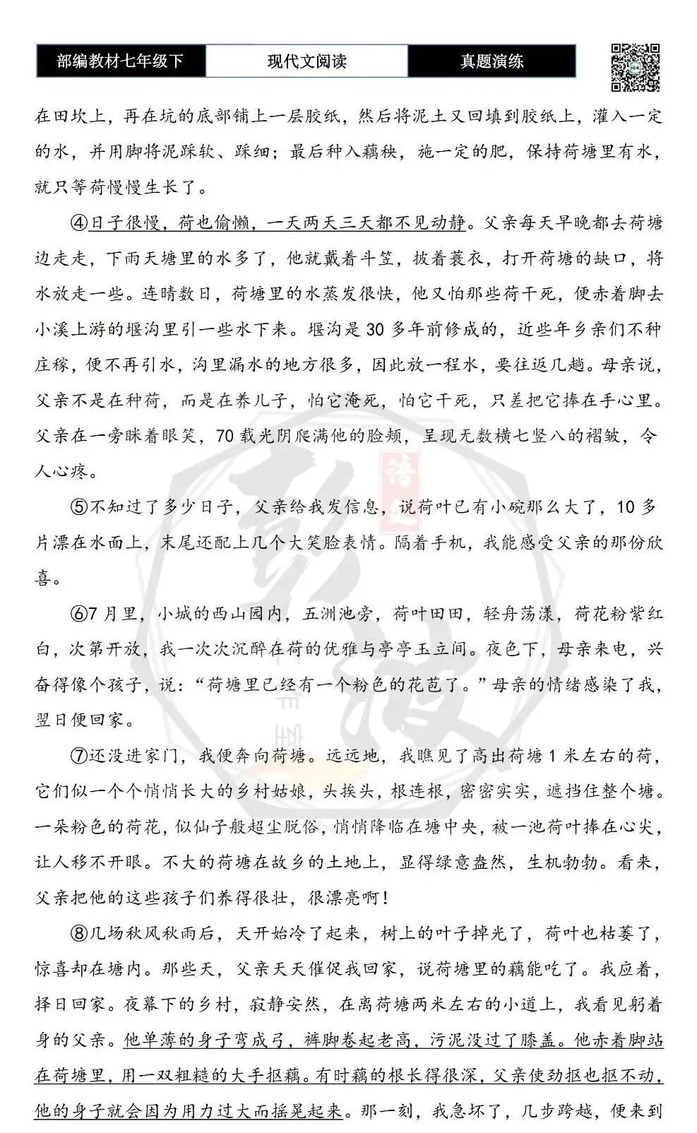 【现代文阅读-真题演练】七年级下-56-父亲的荷塘-思维导图+试题精析 第6张