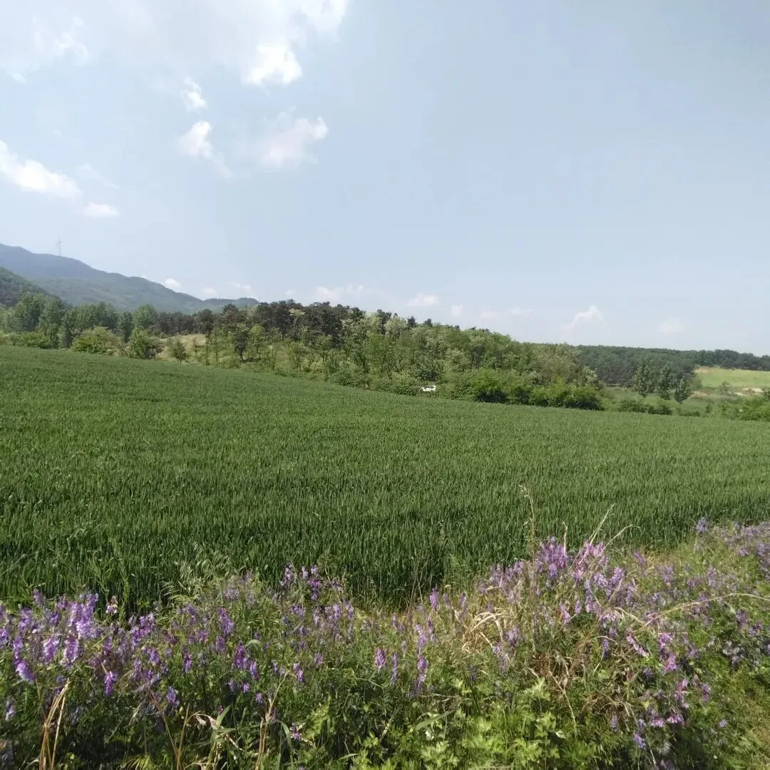 2026中考语文一模记叙文阅读(河南) 第1张