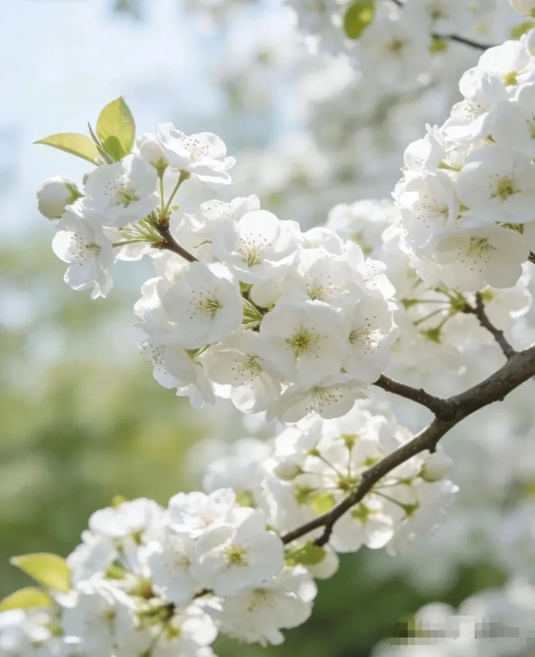 2026中考语文一模记叙文阅读(河南) 第3张