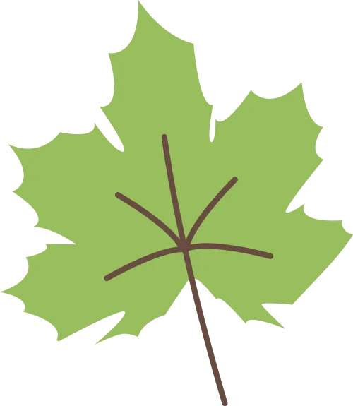 陕西师范大学2027考研真题和资料 | 陕西师范大学考古学考研712考古学答案笔记习题!学长学姐强推 第3张