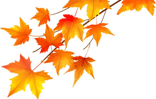 陕西师范大学2027考研真题和资料 | 陕西师范大学考古学考研712考古学答案笔记习题!学长学姐强推 第21张