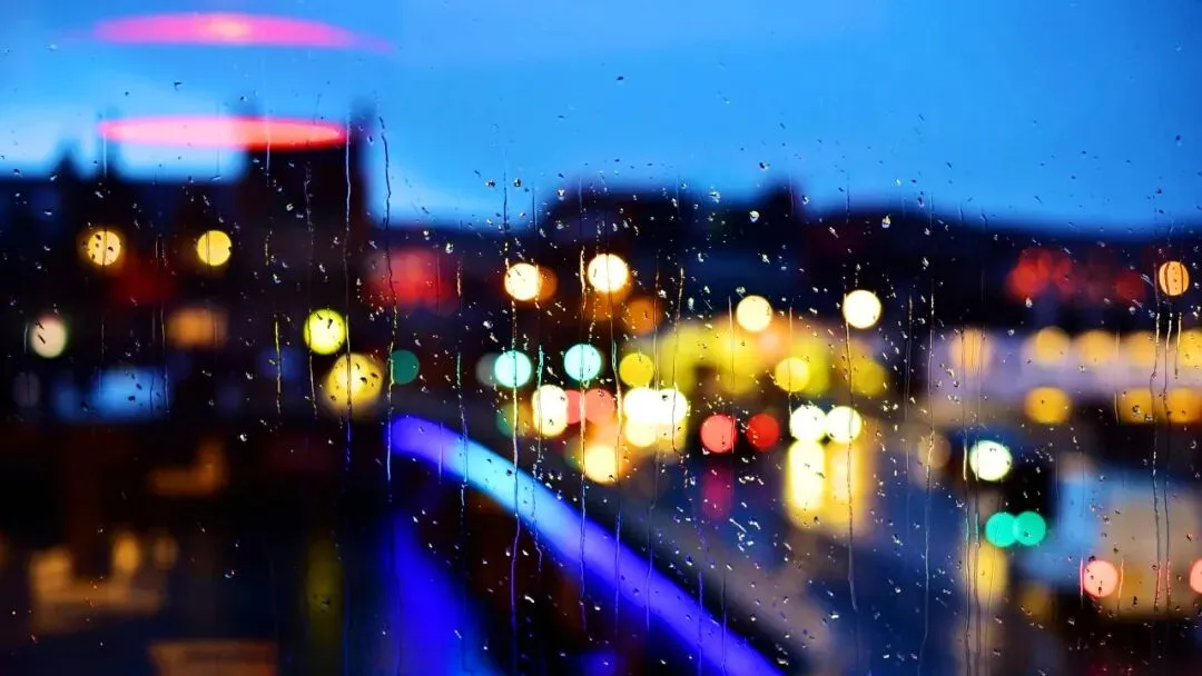 中考作文高分突破|2026松江二模《更进一步》 第6张