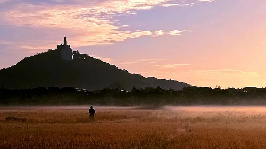 中考作文高分突破|2026松江二模《更进一步》 第5张