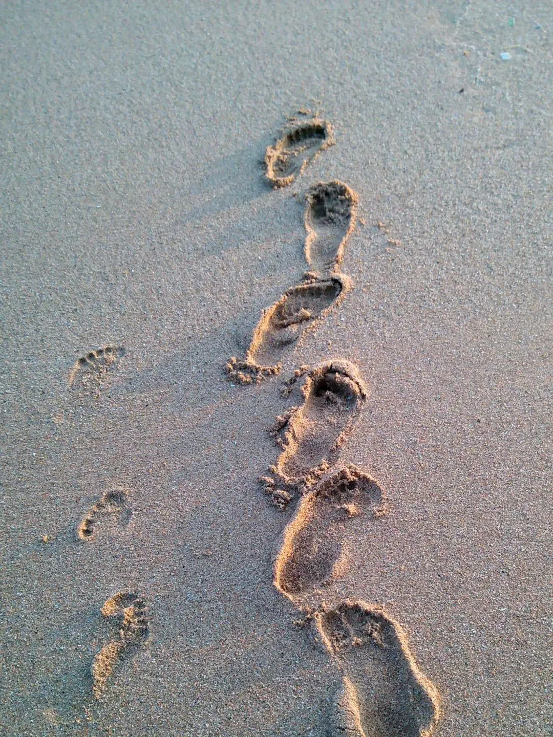 中考作文高分突破|2026松江二模《更进一步》 第8张