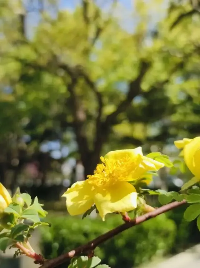 保定市2026届高三第一次模拟考试--历史试题 第7张