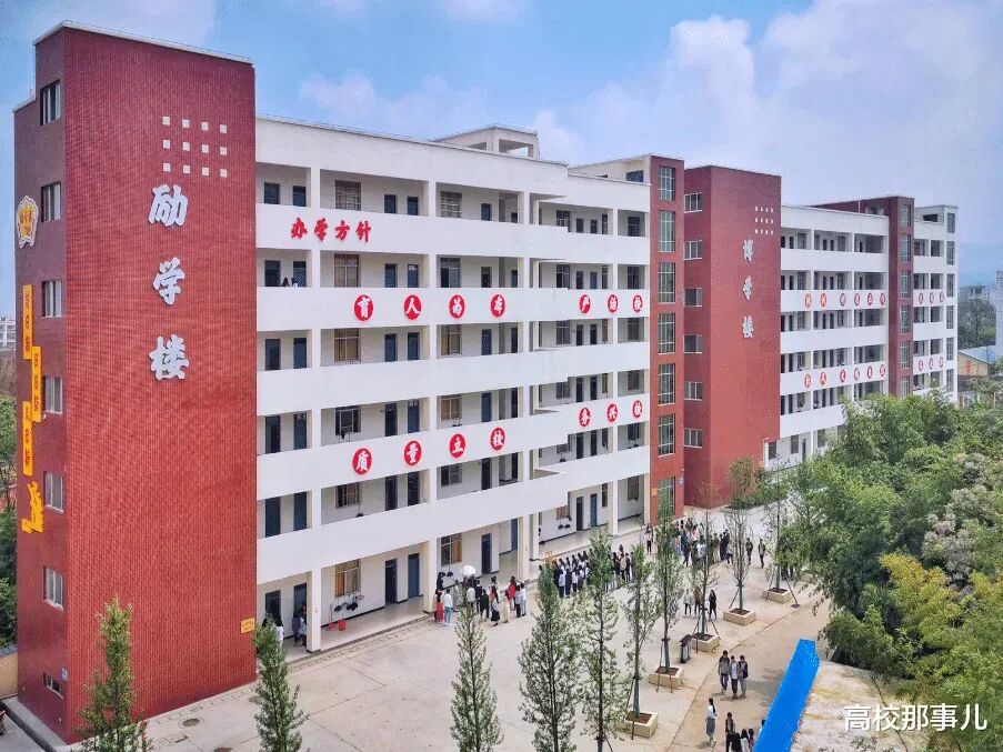 中考志愿:鸡头与凤尾,艰难的选择. 第1张