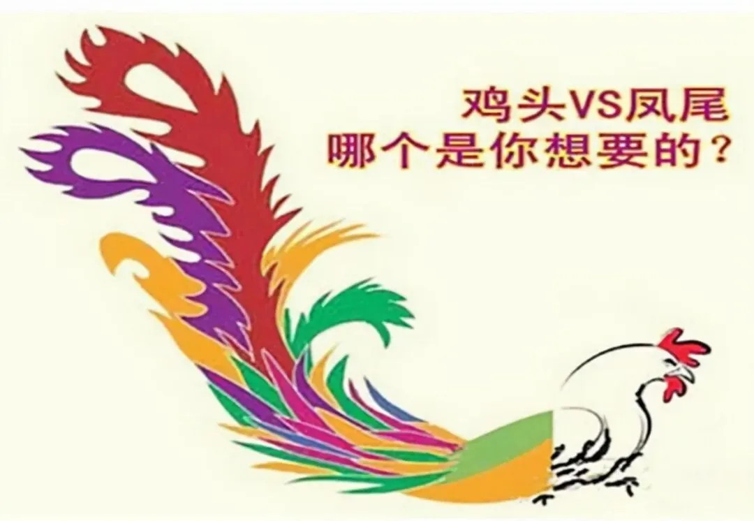 中考志愿:鸡头与凤尾,艰难的选择. 第2张