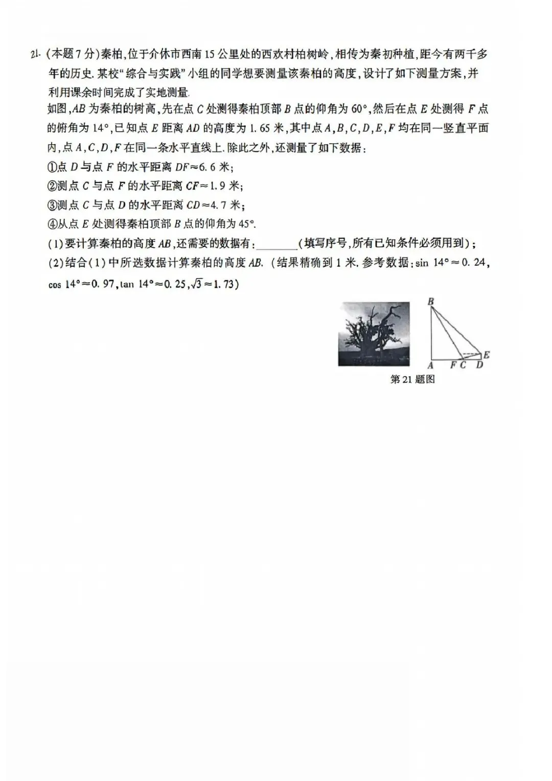 (非官方)数学-2026年初中学业水平模拟考试适应性测试(一) 第6张