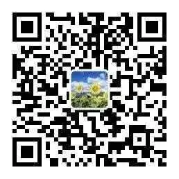 【教师培训】立足真题 深耕课堂|林杨老师于全市高中思政课教师培训中做公开课展示 第7张