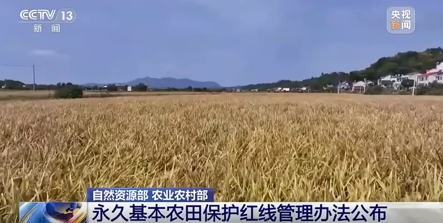 2026年地理中考热点(48)《永久基本农田保护红线管理办法》正式施行 第1张