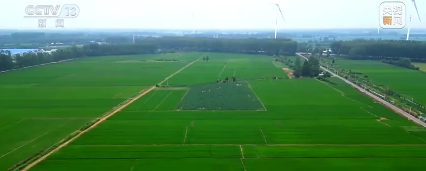 2026年地理中考热点(48)《永久基本农田保护红线管理办法》正式施行 第2张