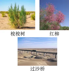 2026年地理中考热点(48)《永久基本农田保护红线管理办法》正式施行 第30张