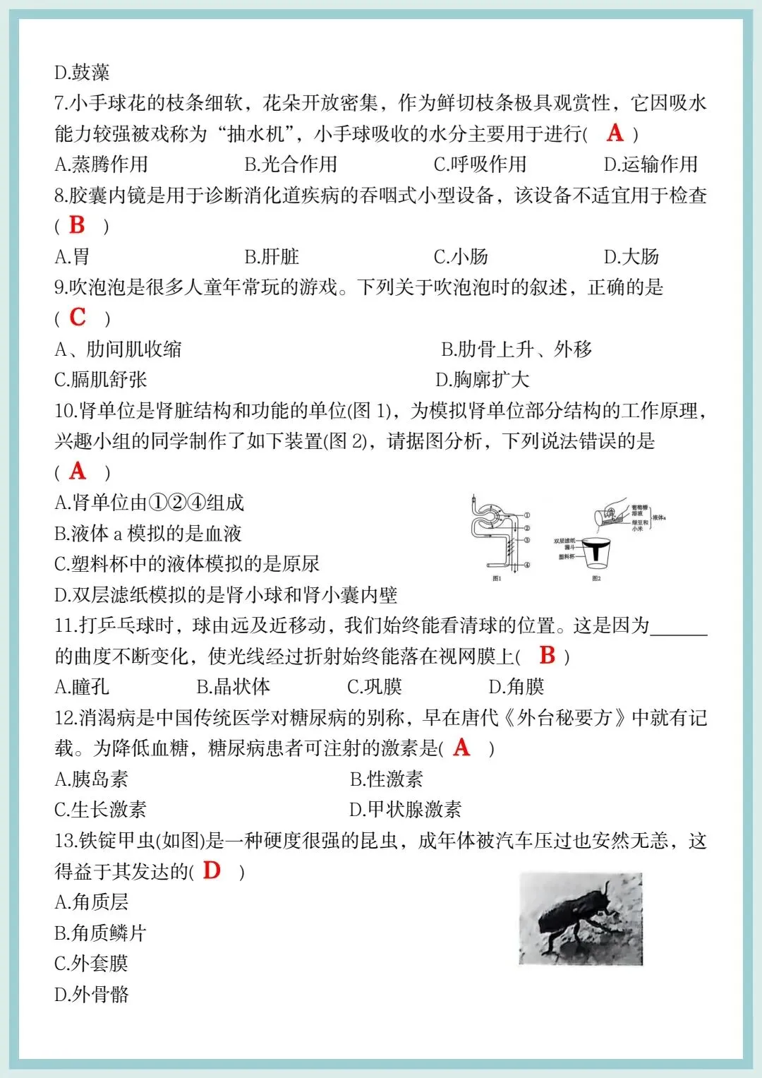 2026春八年级下册生物会考押题试卷(全国通用),电子版可打印! 第5张