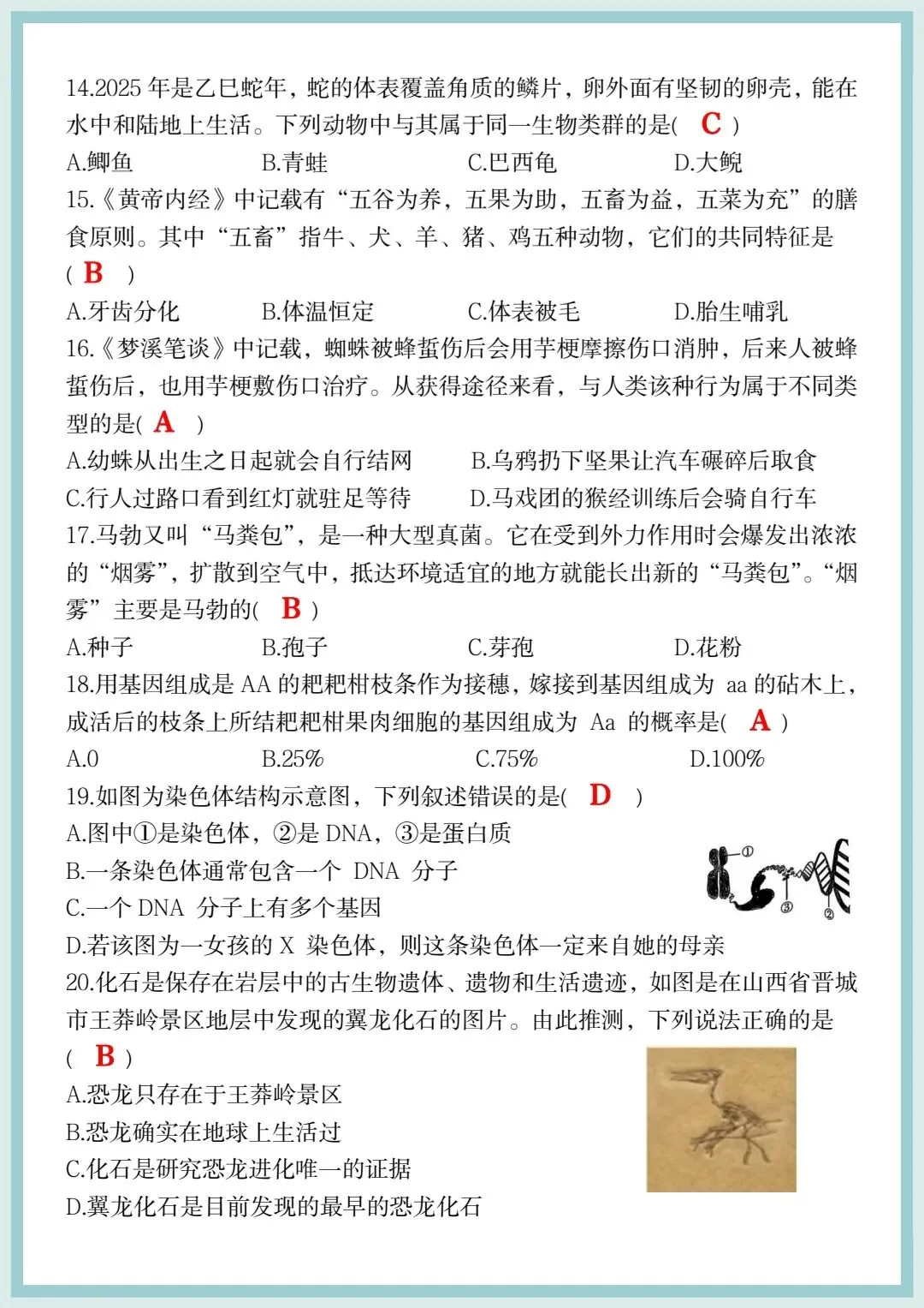 2026春八年级下册生物会考押题试卷(全国通用),电子版可打印! 第6张