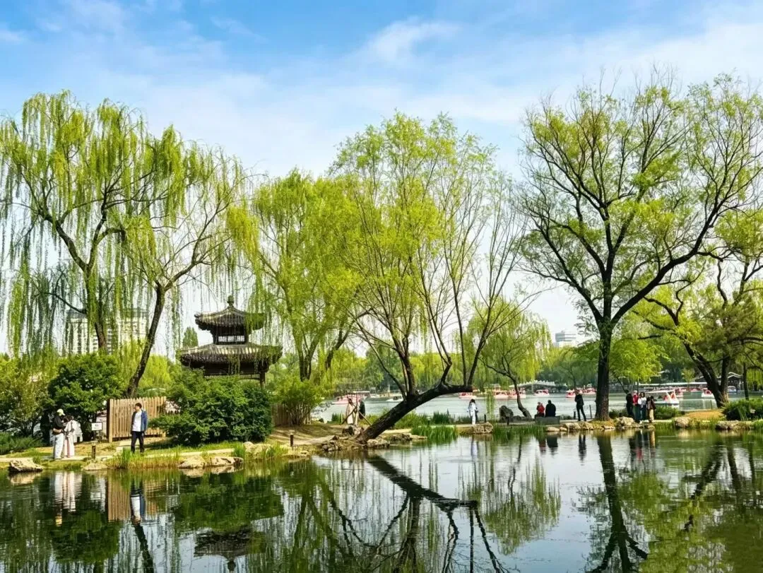 家长一定要看:中考“改革”的本质分析 第2张