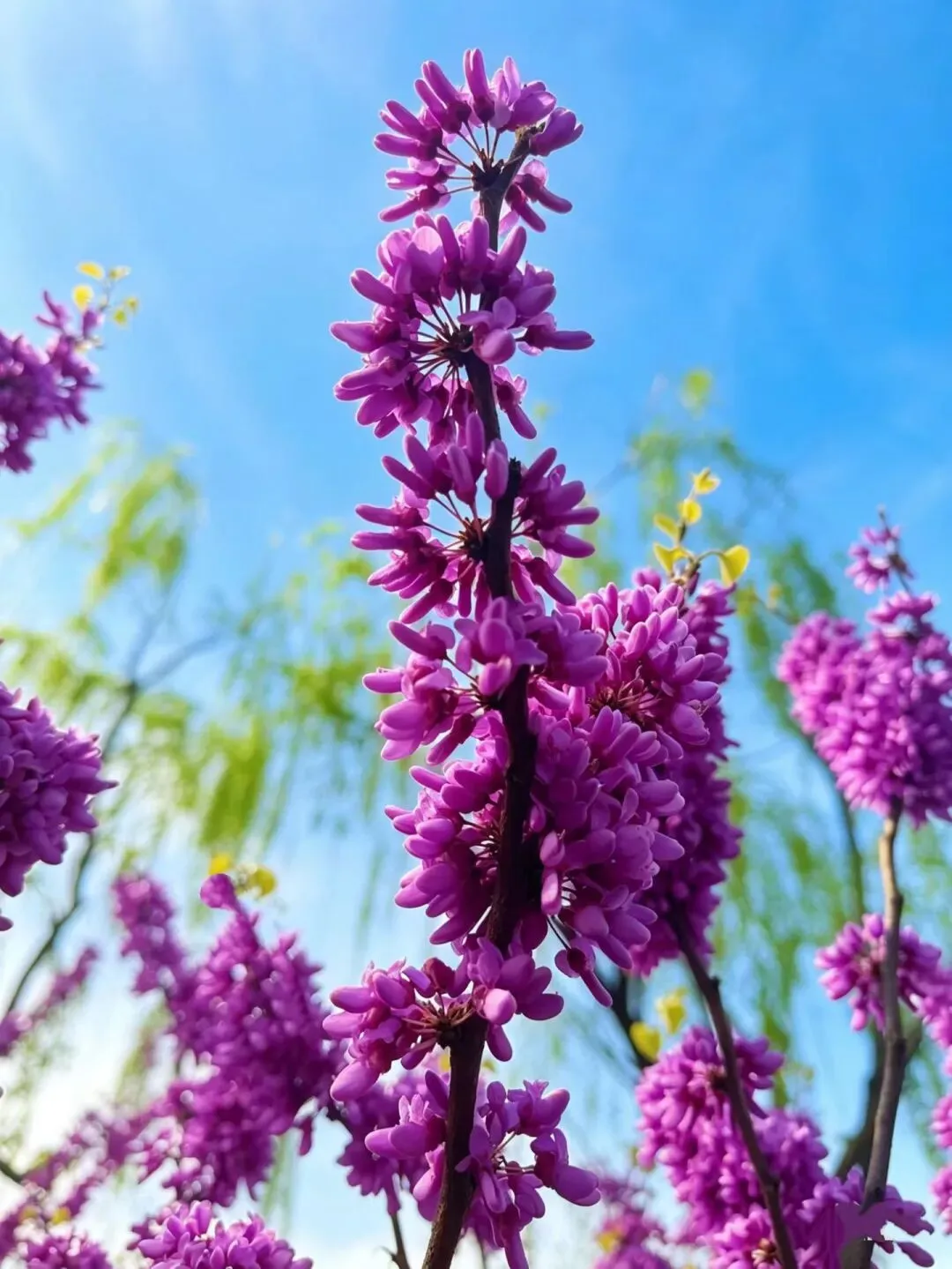 家长一定要看:中考“改革”的本质分析 第3张