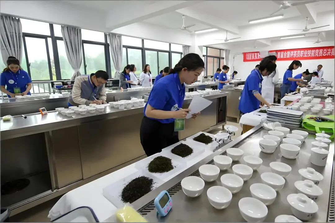 《评茶员》(高级)模拟考试题(含答案解析)学习! 第2张