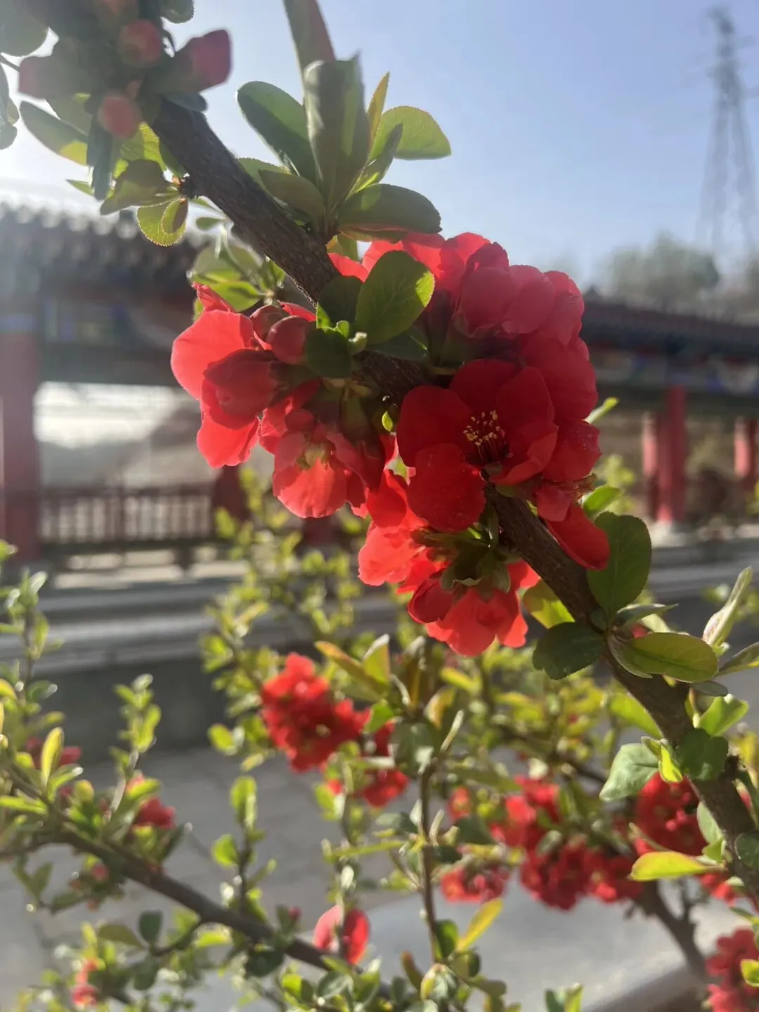 中考志愿这场博弈:少年不甘的锋芒,与父母藏在哽咽里的托底 第3张