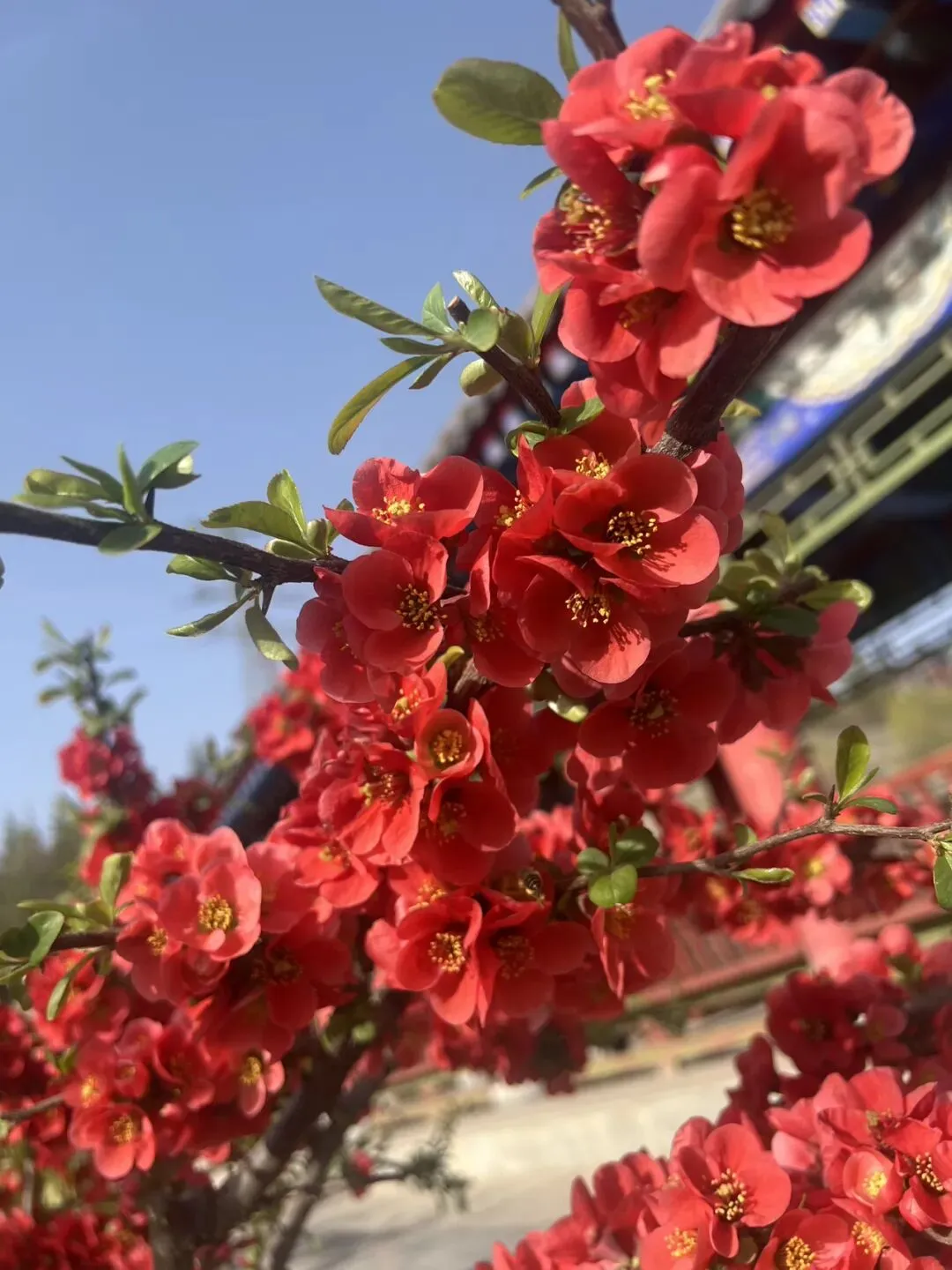 中考志愿这场博弈:少年不甘的锋芒,与父母藏在哽咽里的托底 第4张