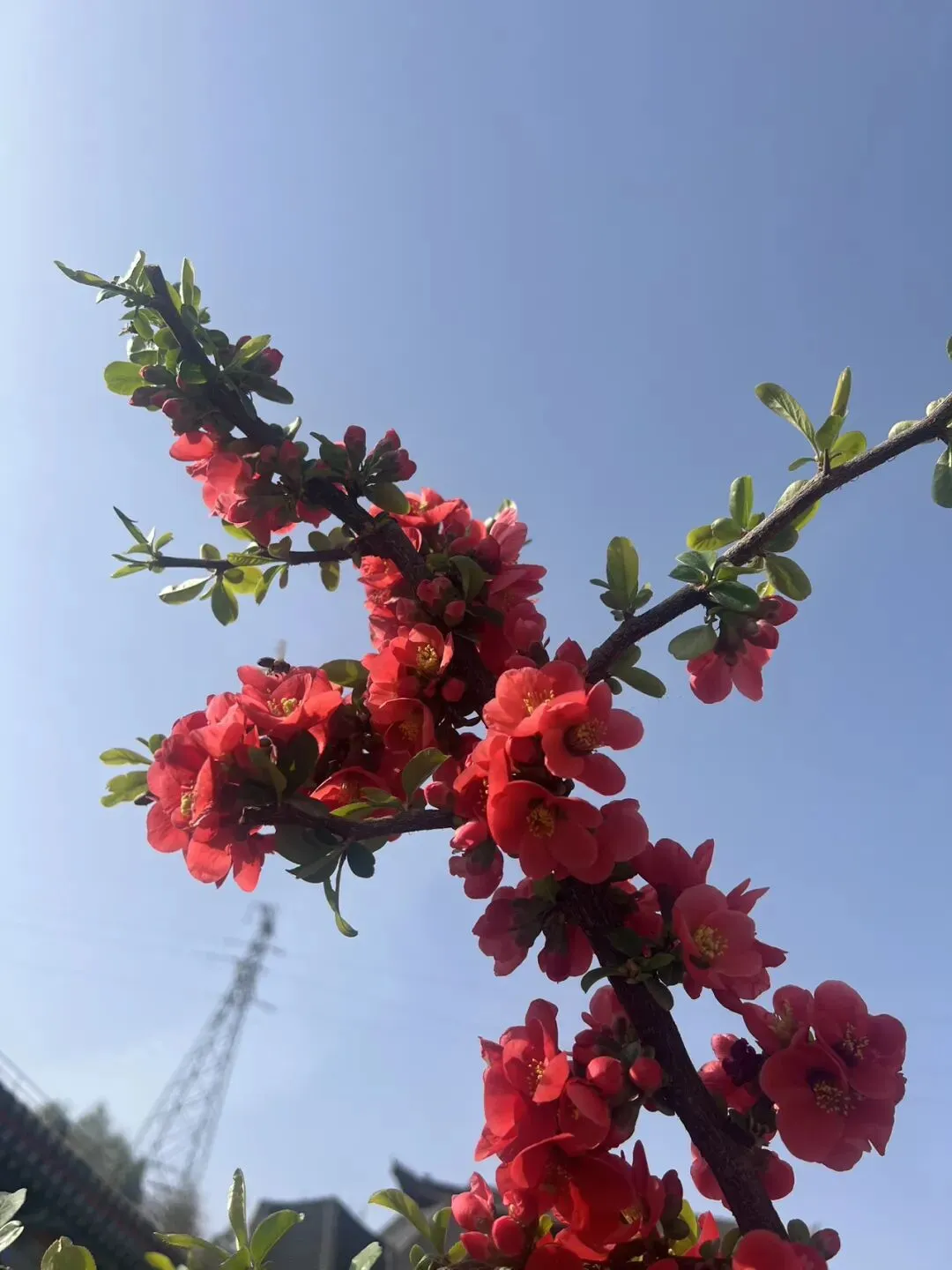 中考志愿这场博弈:少年不甘的锋芒,与父母藏在哽咽里的托底 第5张