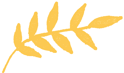 教学视导赋能中考 深耕课堂提质增效 | 澜石中学九年级全科视导教研活动圆满举行 第11张