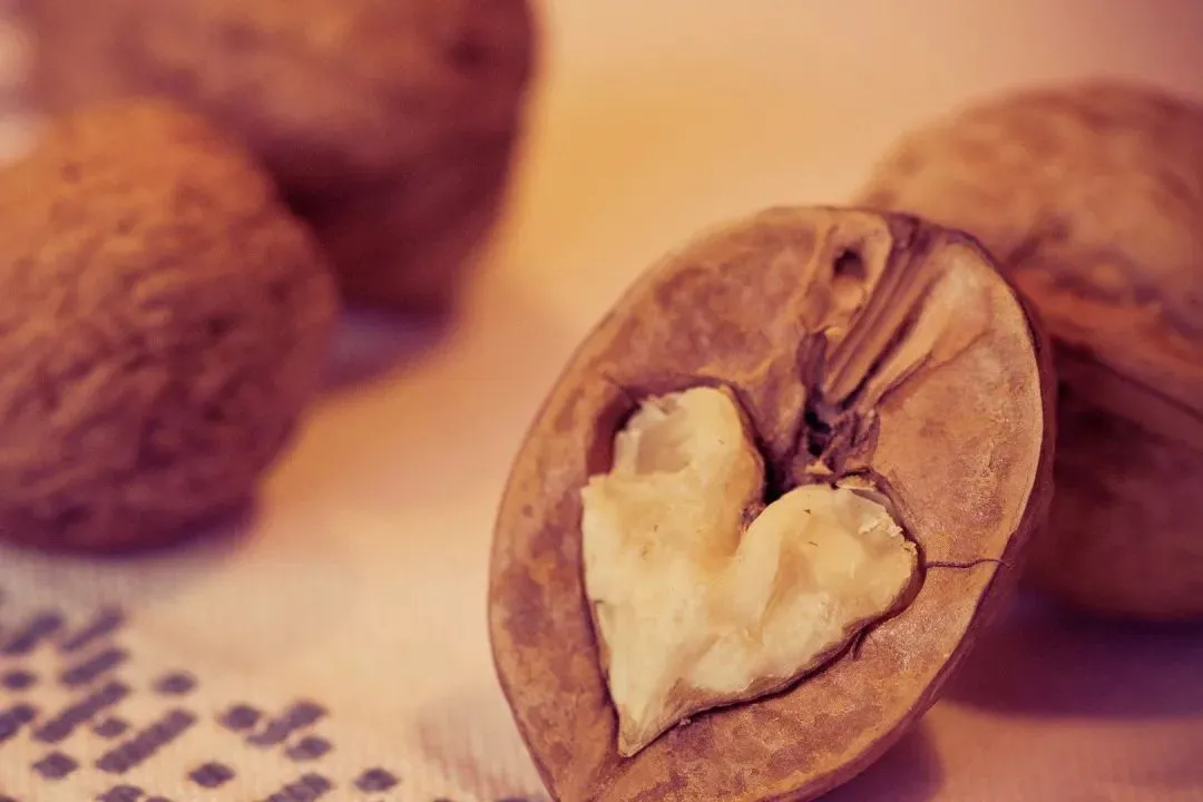 首榜精选:《为什么我的高考试卷总是白纸啊?》欣欣(完整版)阅读/免费 第1张