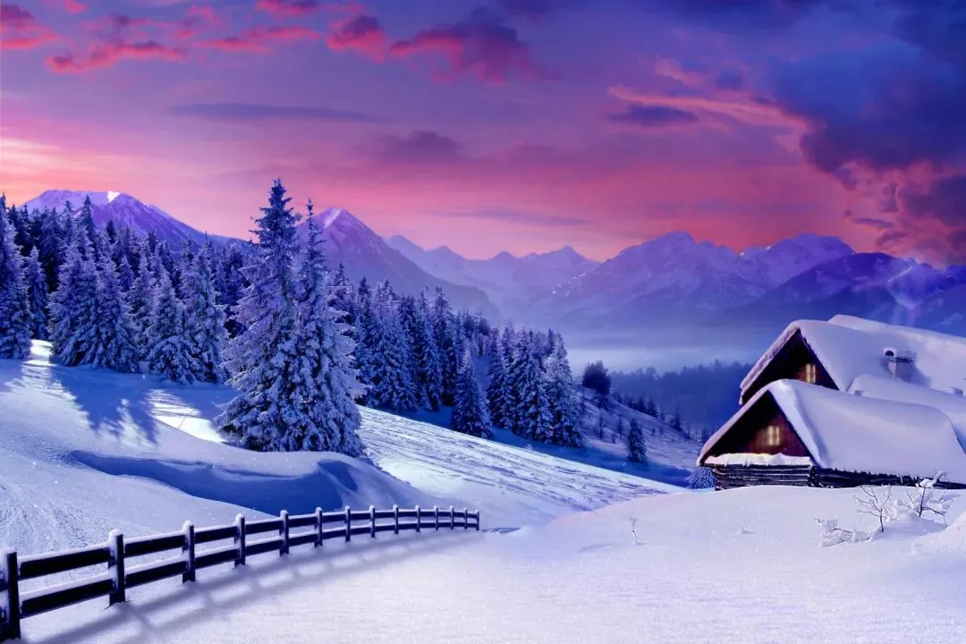 首榜精选:《为什么我的高考试卷总是白纸啊?》欣欣(完整版)阅读/免费 第2张