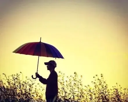 首榜精选:《为什么我的高考试卷总是白纸啊?》欣欣(完整版)阅读/免费 第4张