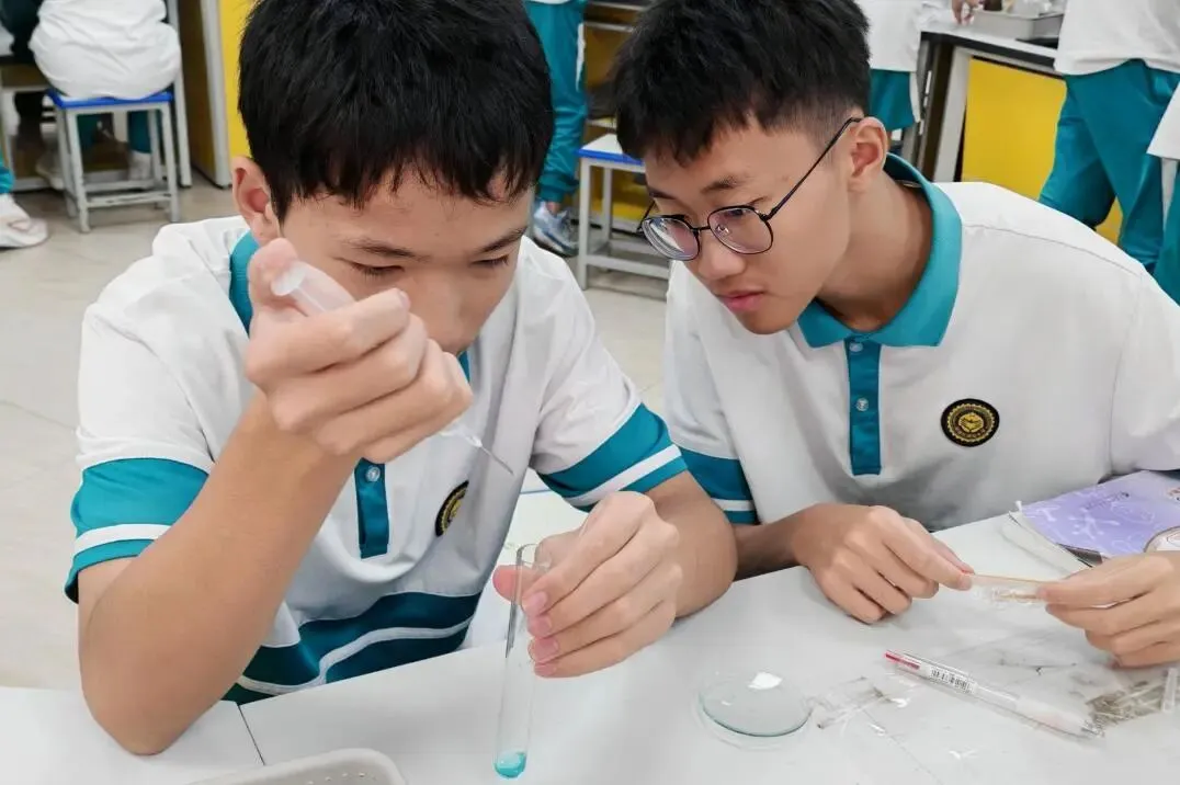 教学视导赋能中考 深耕课堂提质增效 | 澜石中学九年级全科视导教研活动圆满举行 第38张