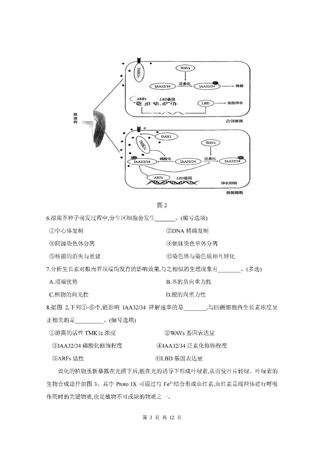 2026届上海市黄浦区高三二模生物试卷(含答案) 第3张