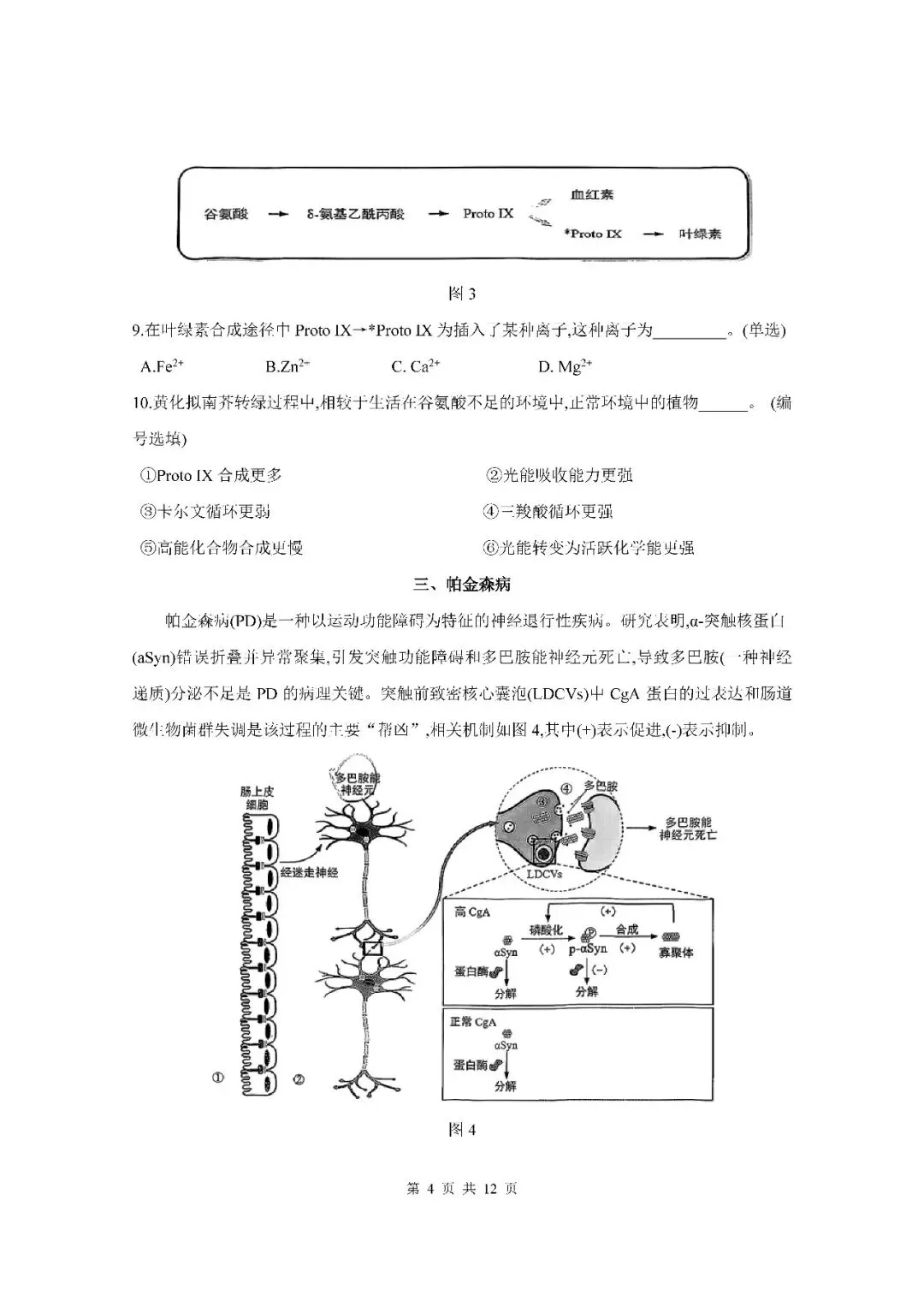 2026届上海市黄浦区高三二模生物试卷(含答案) 第4张
