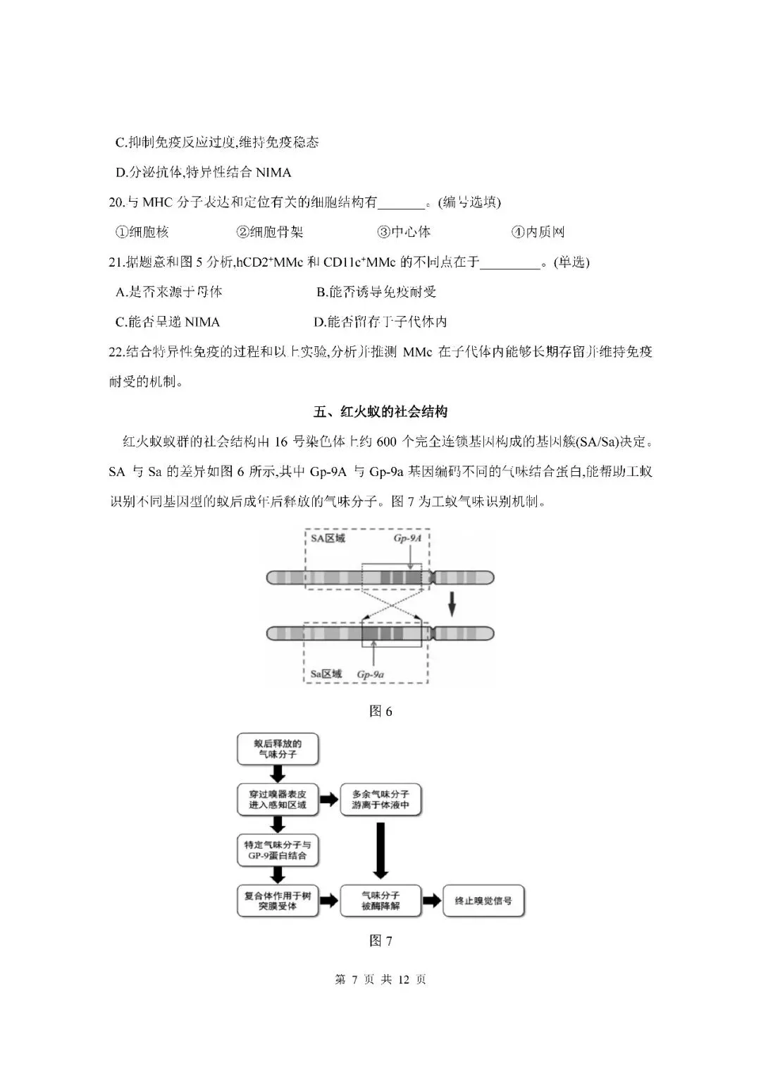 2026届上海市黄浦区高三二模生物试卷(含答案) 第7张