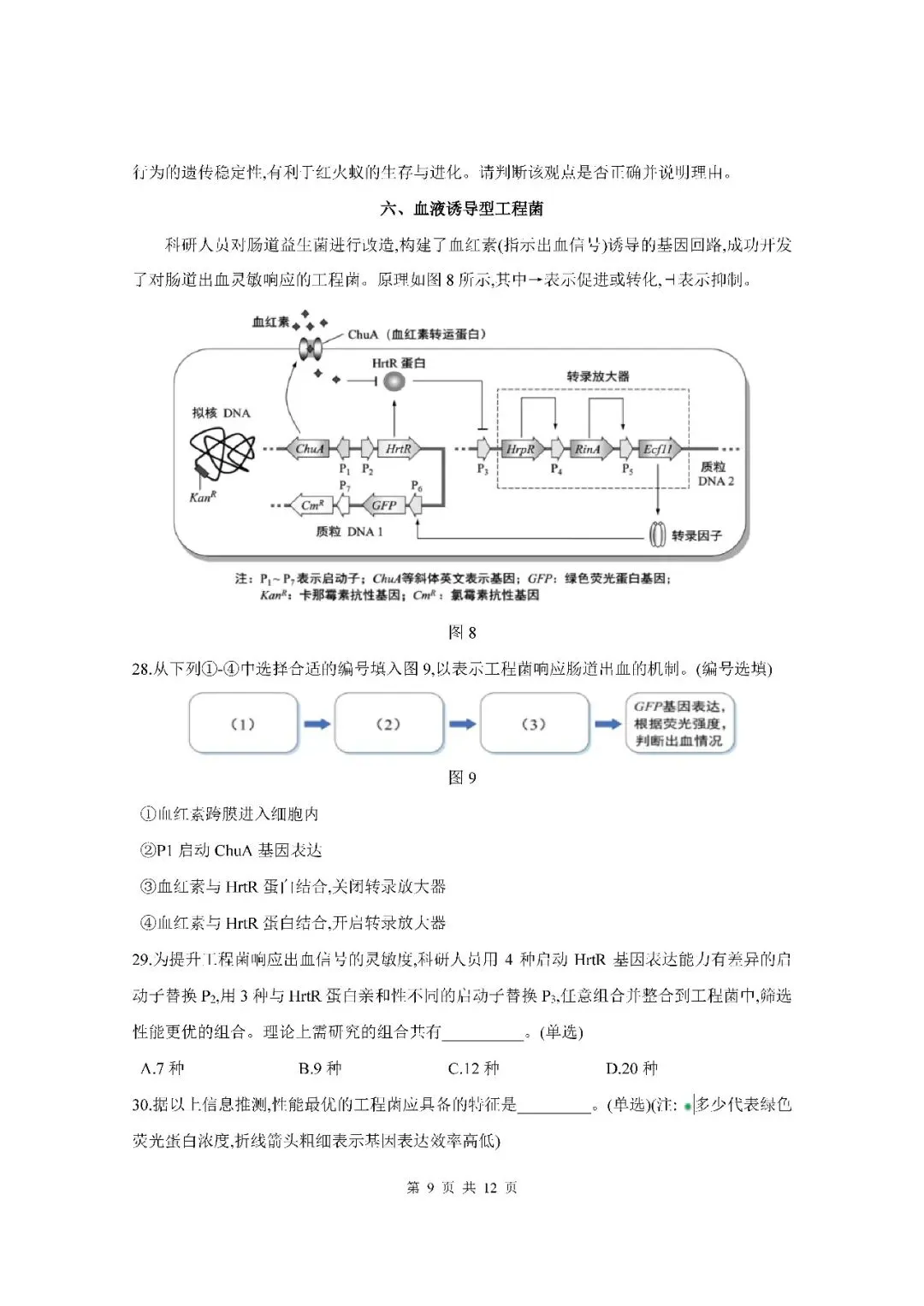 2026届上海市黄浦区高三二模生物试卷(含答案) 第9张