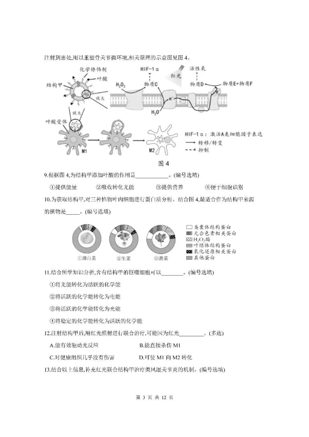 2026届上海市松江区高三二模生物试卷(含答案) 第3张