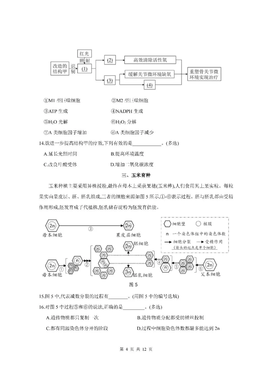 2026届上海市松江区高三二模生物试卷(含答案) 第4张