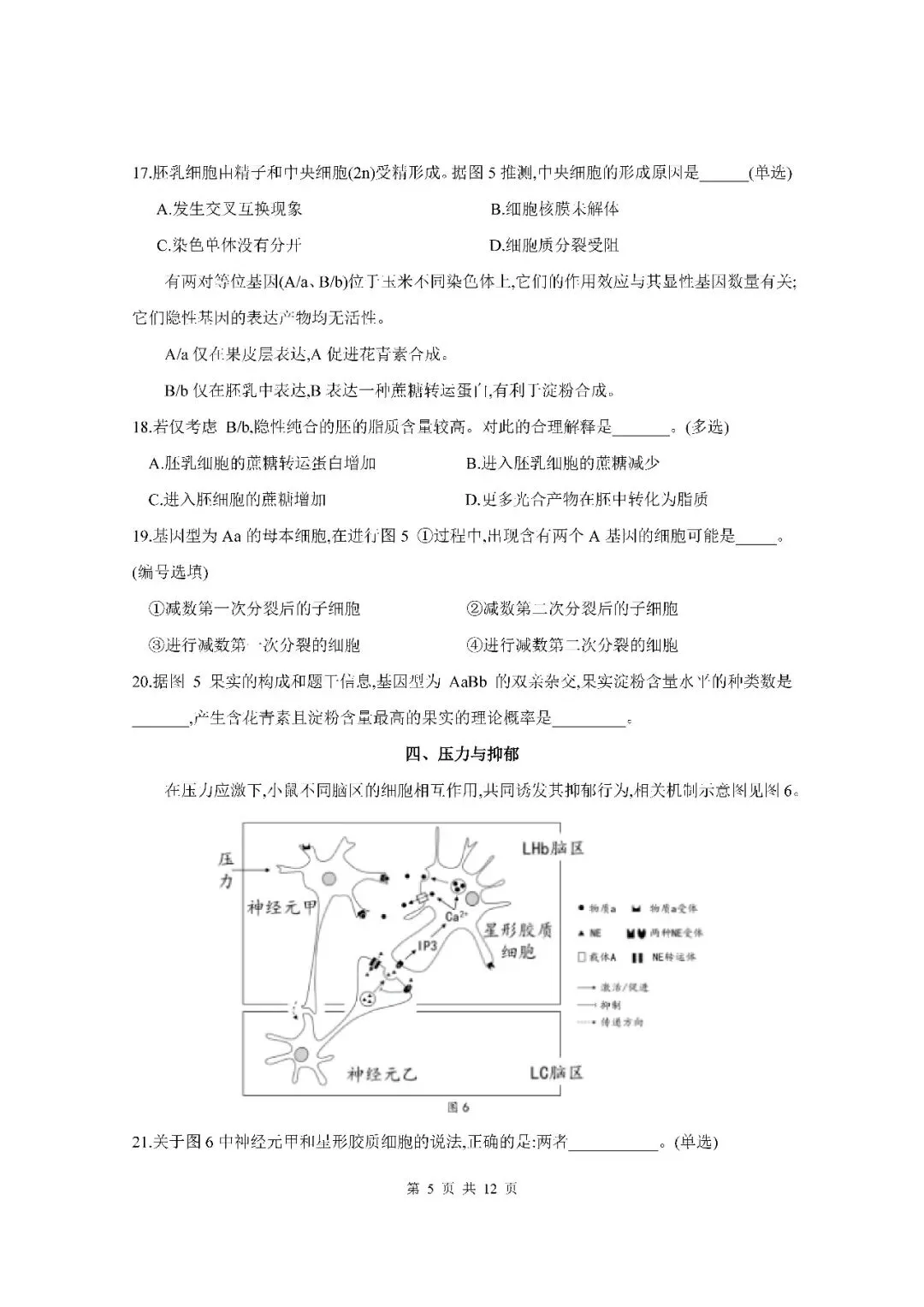 2026届上海市松江区高三二模生物试卷(含答案) 第5张