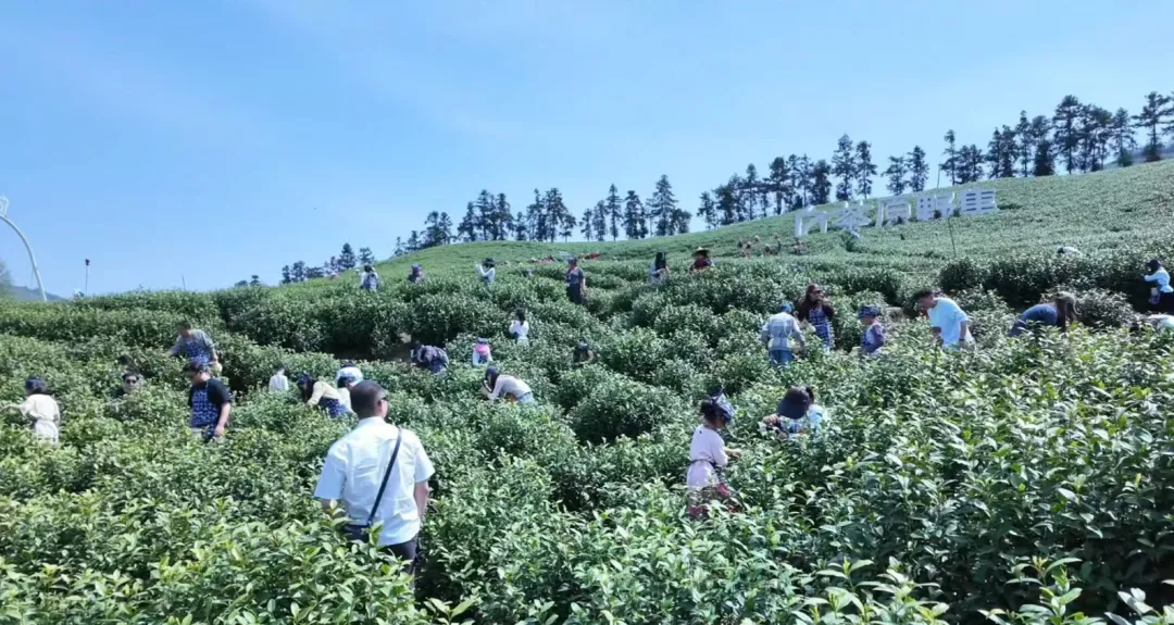 这个春天,不做试卷的答题家,做自然探索的艺术家! 第3张