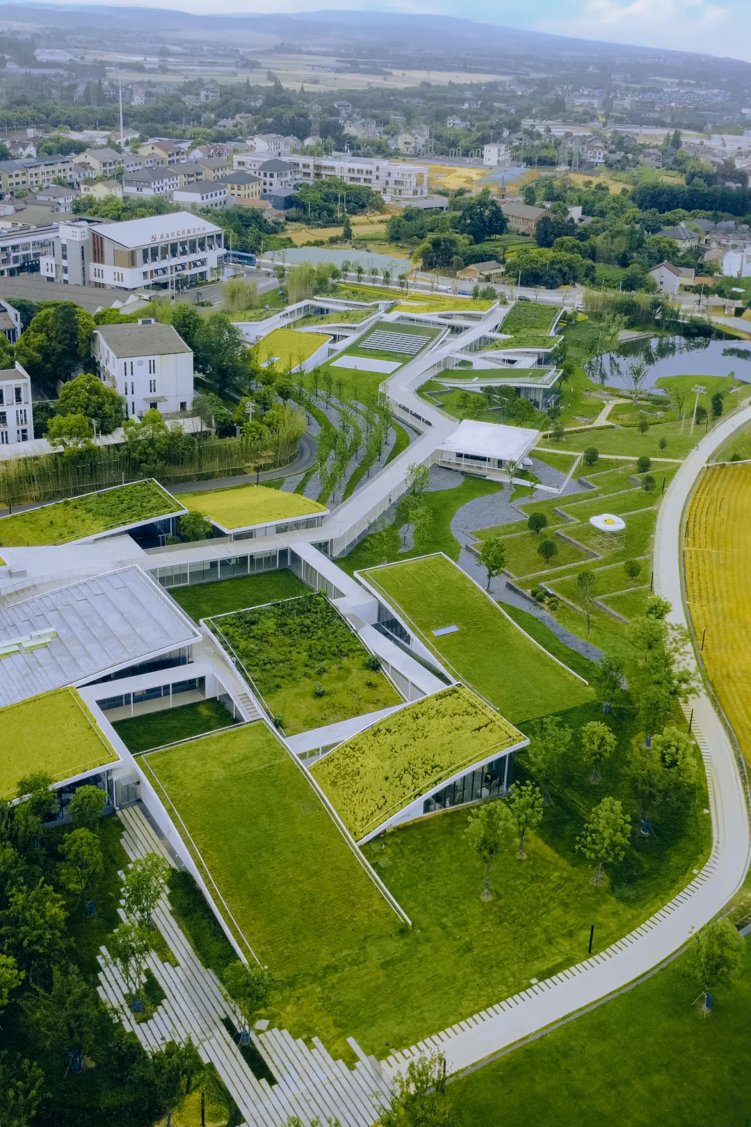 这个春天,不做试卷的答题家,做自然探索的艺术家! 第4张