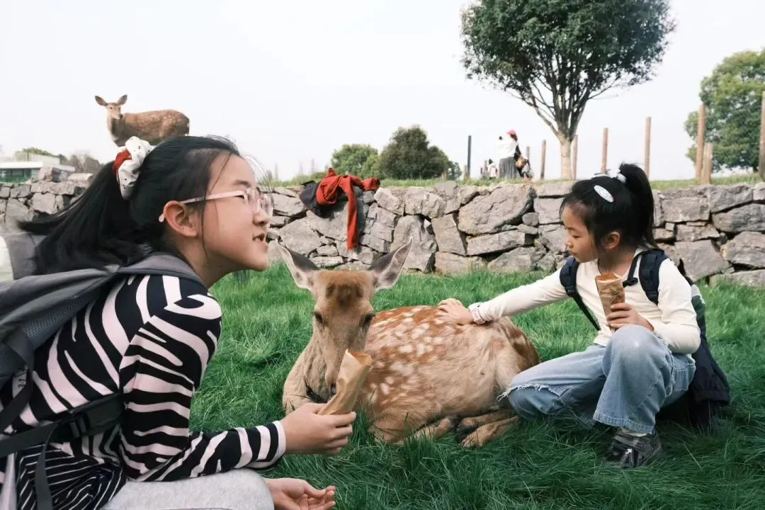 这个春天,不做试卷的答题家,做自然探索的艺术家! 第7张