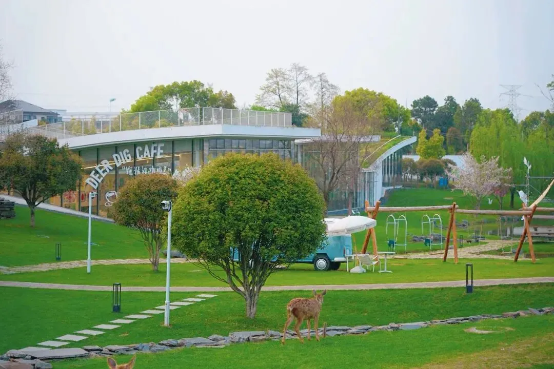 这个春天,不做试卷的答题家,做自然探索的艺术家! 第8张